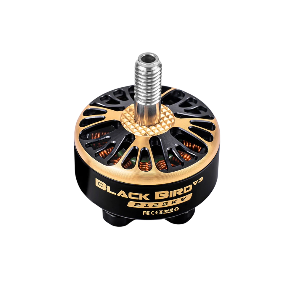 co-brand BlackBird v4 2307