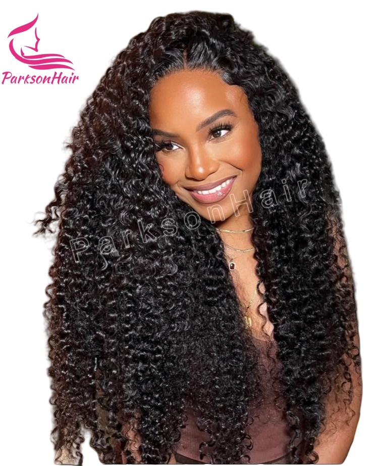 ParksonHair HD Lace Human Hair Wigs 200% Density Exotic Curly 13x4 HD Lace Frontal Wigs Pre Plucked Natutal Black
