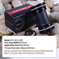 T47-85.5-29R-Ceramic Bearing