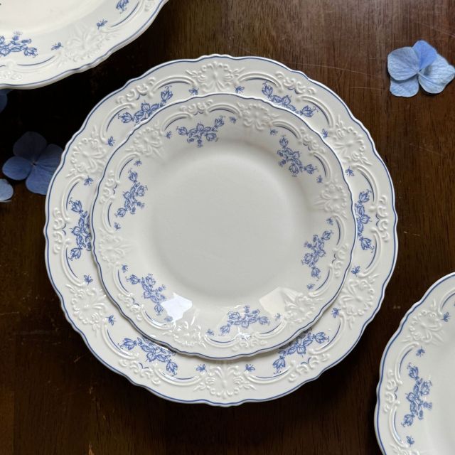 10 Inch Porcelain Dinner Plates Set of 4, Lace Dishes Set for Salad, Pasta, Soup, Dessert, Blue Roses