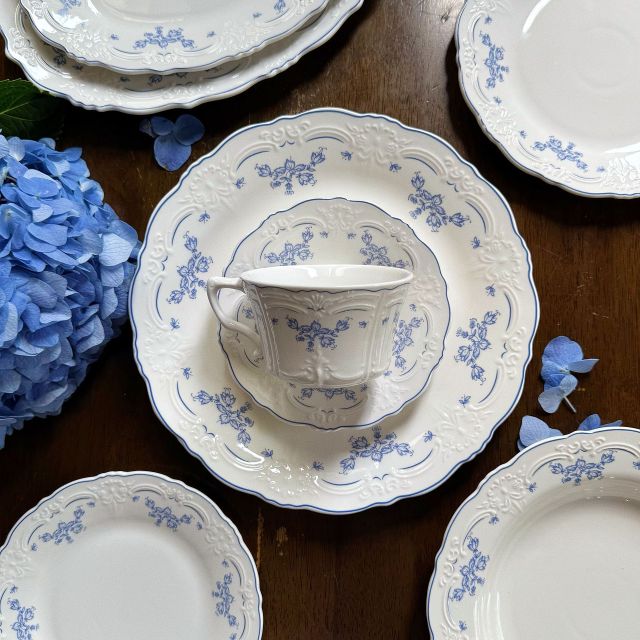 10 Inch Porcelain Dinner Plates Set of 4, Lace Dishes Set for Salad, Pasta, Soup, Dessert, Blue Roses