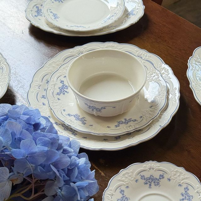10 Inch Porcelain Dinner Plates Set of 4, Lace Dishes Set for Salad, Pasta, Soup, Dessert, Blue Roses