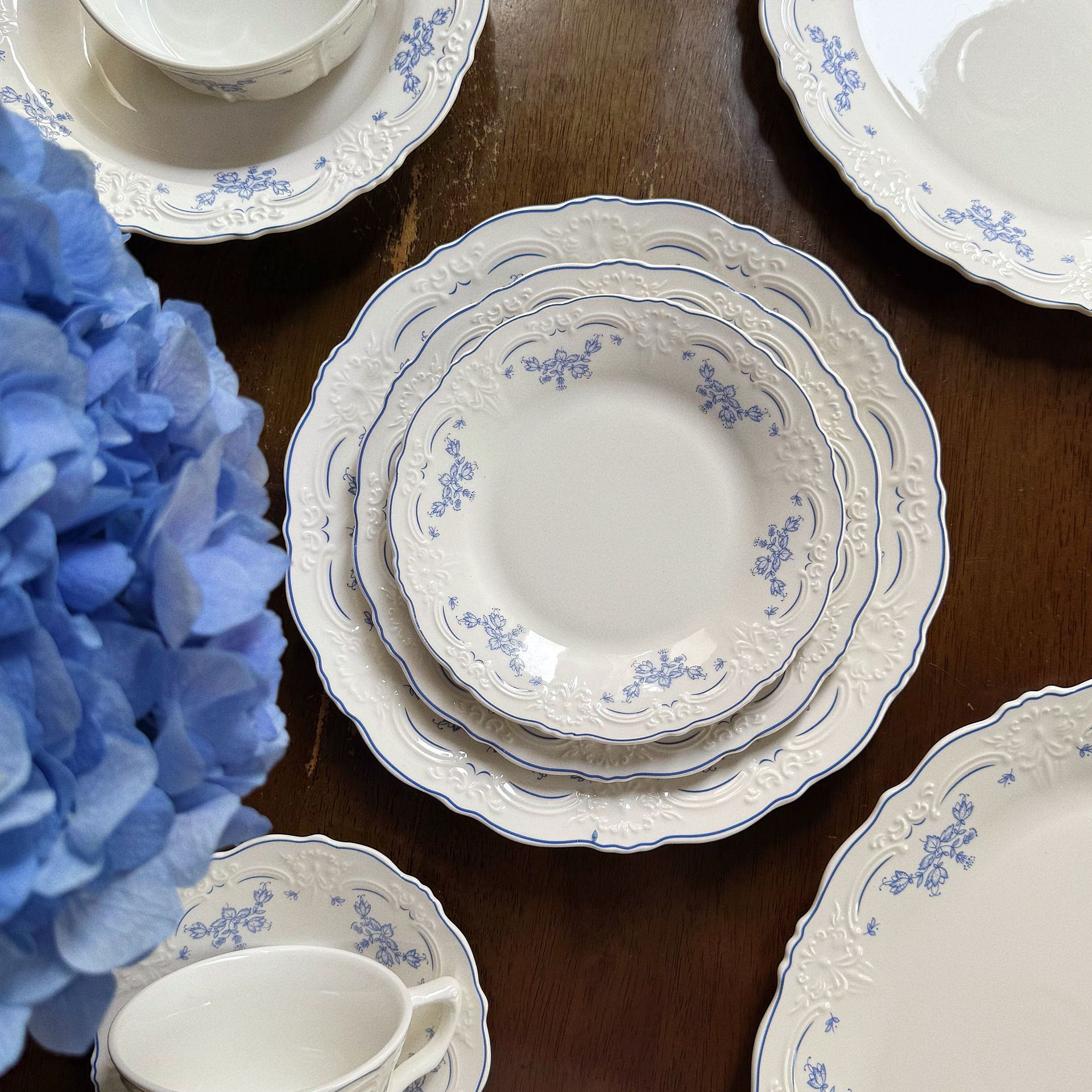 10 Inch Porcelain Dinner Plates Set of 4, Lace Dishes Set for Salad, Pasta, Soup, Dessert, Blue Roses