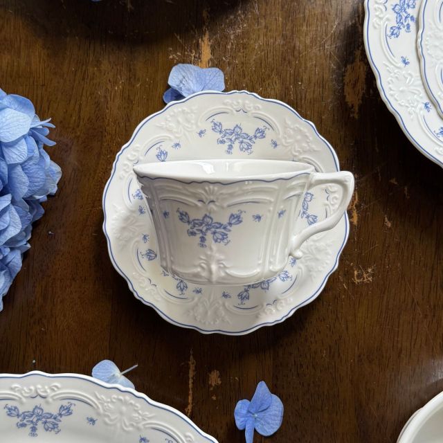 10 Inch Porcelain Dinner Plates Set of 4, Lace Dishes Set for Salad, Pasta, Soup, Dessert, Blue Roses