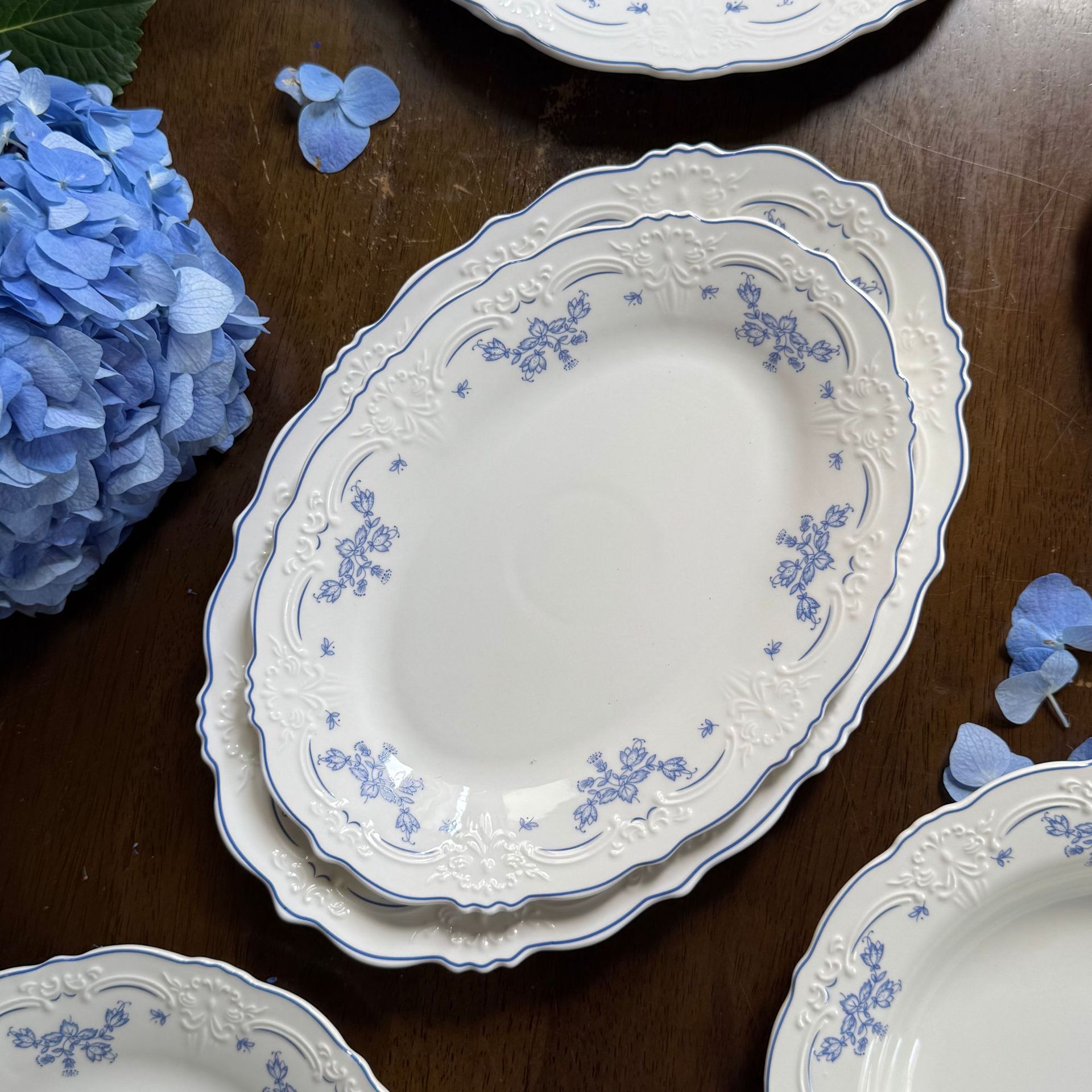 10 Inch Porcelain Dinner Plates Set of 4, Lace Dishes Set for Salad, Pasta, Soup, Dessert, Blue Roses