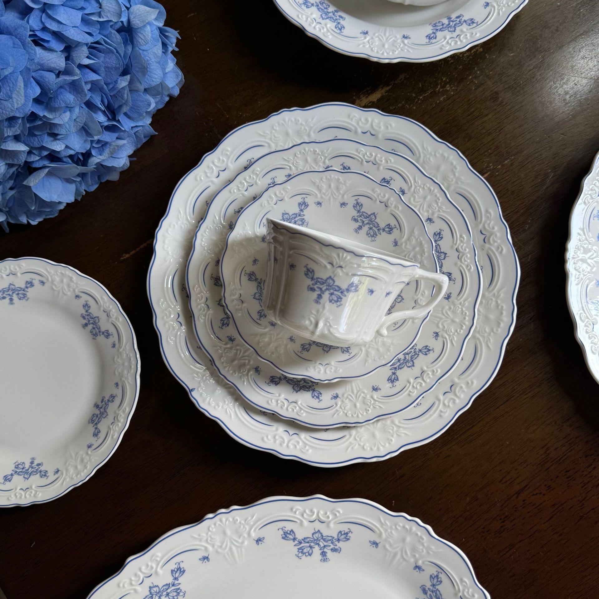 10 Inch Porcelain Dinner Plates Set of 4, Lace Dishes Set for Salad, Pasta, Soup, Dessert, Blue Roses
