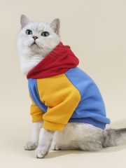 Autumn Winter Cat Clothes Pet Sweatshirt