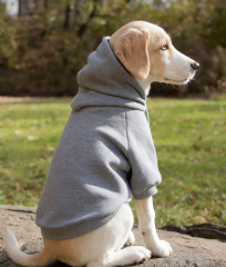 autumn winter dog hoodie