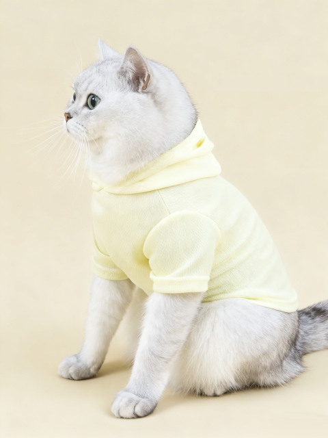Summer Cat Clothes breathable Pet Sweatshirt