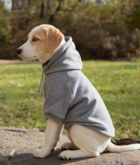 autumn winter dog hoodie