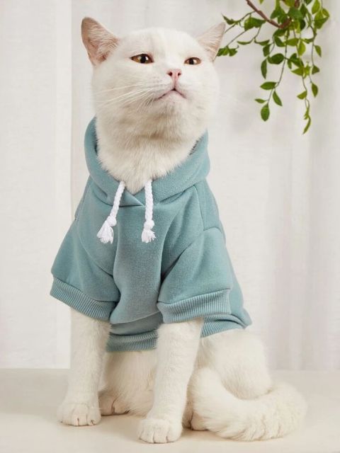autumn winter cat hoodie
