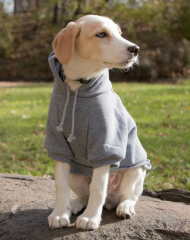 autumn winter dog hoodie