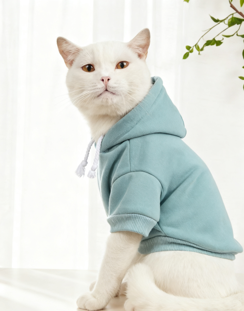 autumn winter cat hoodie