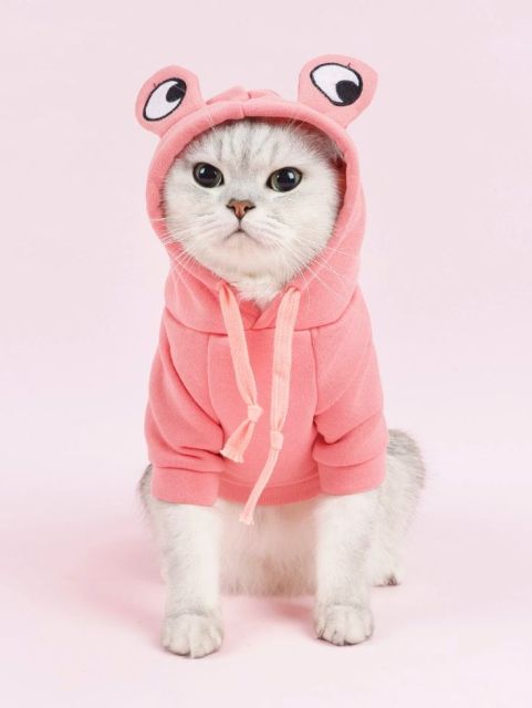Custom Pet Sweatshirt – Pink Frog Hoodie with Adjustable Hood