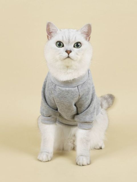 simple design cat sweatshirt