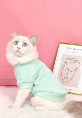 Custom Cat T-Shirt – Mint Green Hooded Plush Top