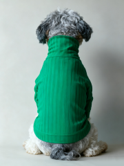 Green Ribbed Turtleneck Dog Sweater
