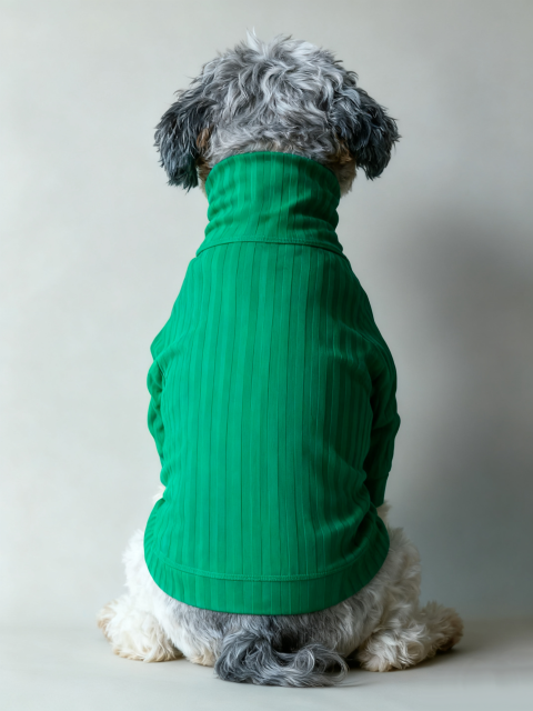 Green Ribbed Turtleneck Dog Sweater