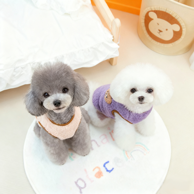 "Cute Teddy Bear Sherpa Dog Harness Vest