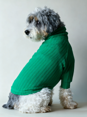 Green Ribbed Turtleneck Dog Sweater