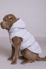 Light Gray Hooded Dog Puffer Vest