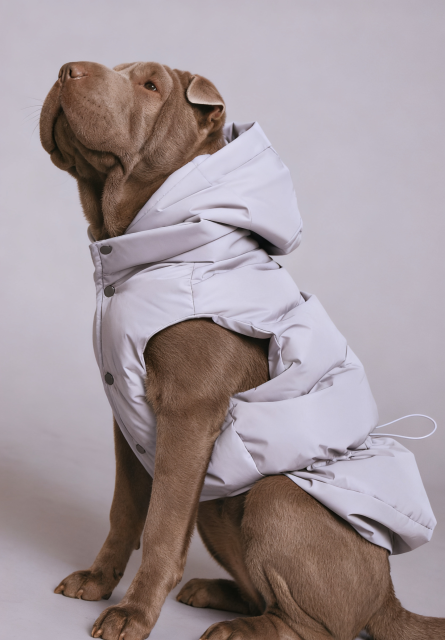 Light Gray Hooded Dog Puffer Vest