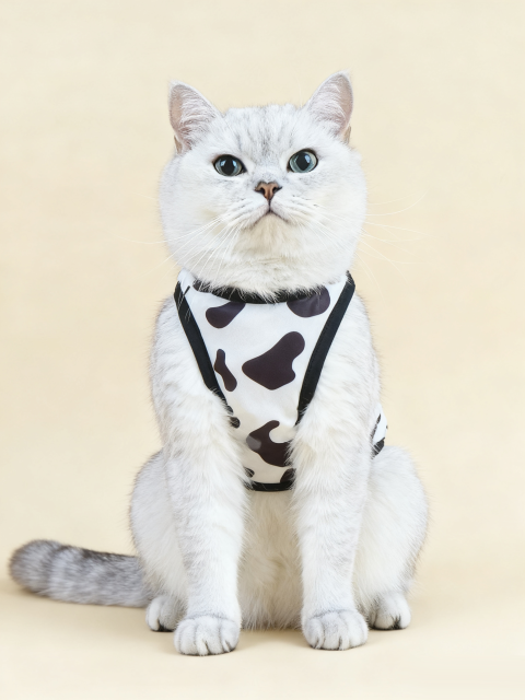 Cow Print Mesh Cat Vest