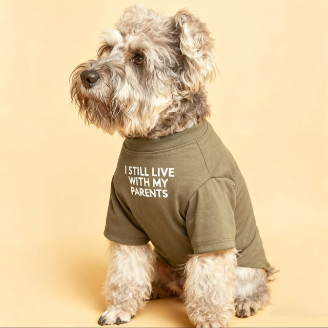 Cute Dog Clothes,Dog T Shirt for Medium Dogs