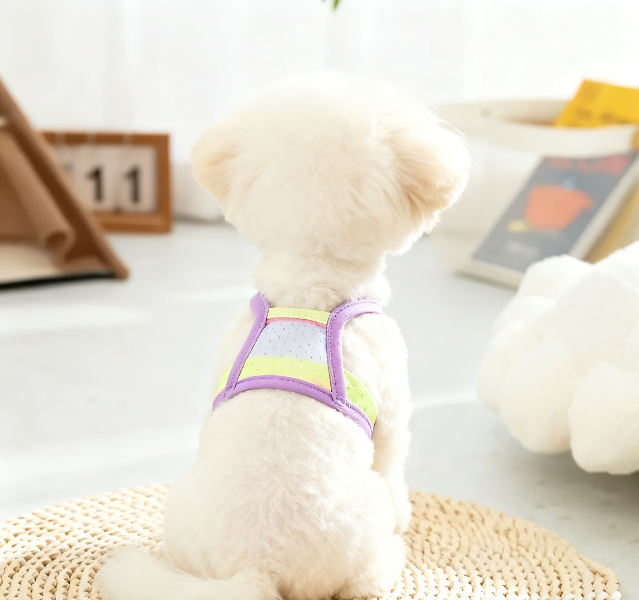 Pastel Rainbow Dog Harness Vest