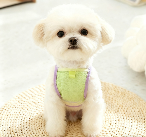 Lovely cloud dog vest on small dog