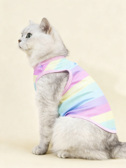 Rainbow vest for cat