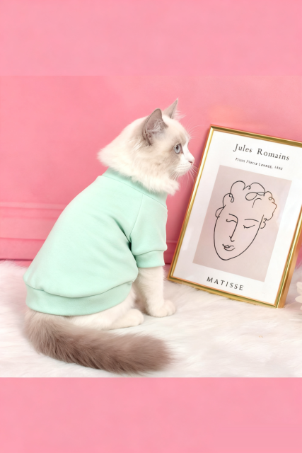 Custom Cat T-Shirt – Mint Green Hooded Plush Top
