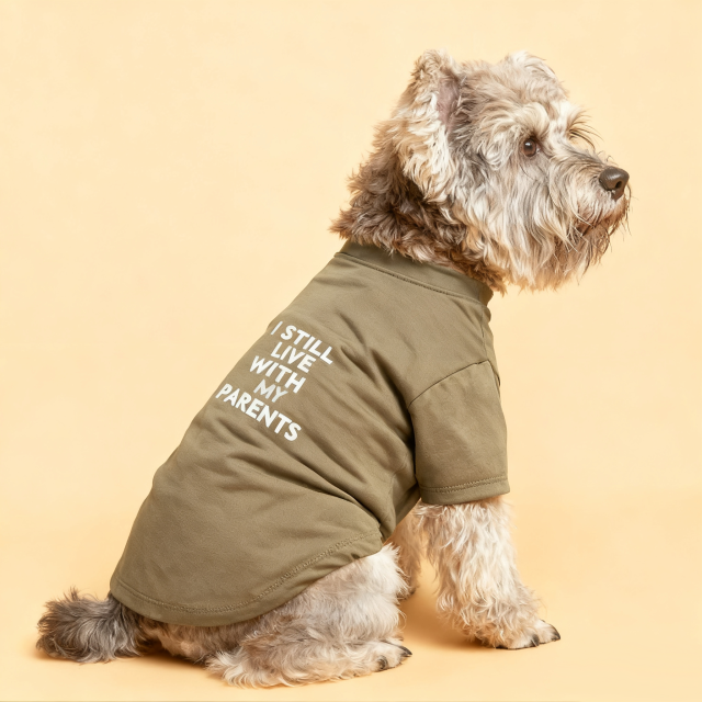 Cute Dog Clothes,Dog T Shirt for Medium Dogs