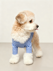 Dog Striped T-Shirt Cotton Breathable