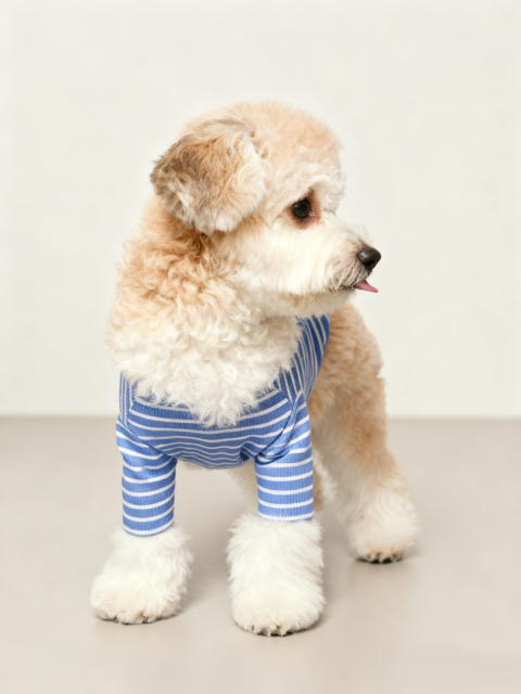 Dog Striped T-Shirt Cotton Breathable