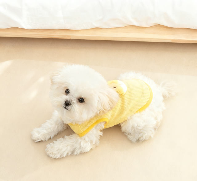 Pet Vest – Yellow Knitted Sleeveless Vest with 3D Detail