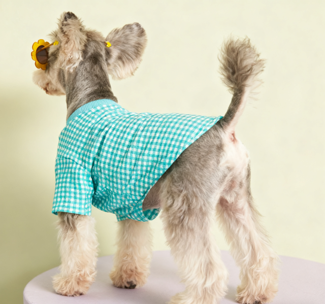 Plaid Pet tshirt Summer Clothes