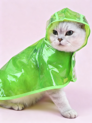 Transparent Green Cat Raincoat with Hood