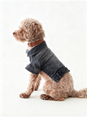 Vintage Washed Denim Dog Jacket