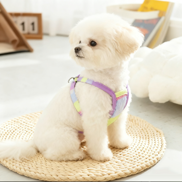 Pastel Rainbow Dog Harness Vest