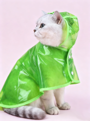 Transparent Green Cat Raincoat with Hood