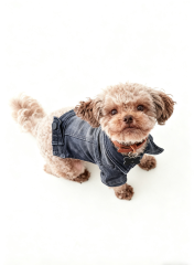 Vintage Washed Denim Dog Jacket