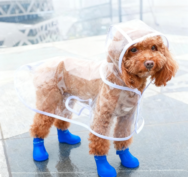 Pet Clothes Dog Raincoat Waterproof Outdoor