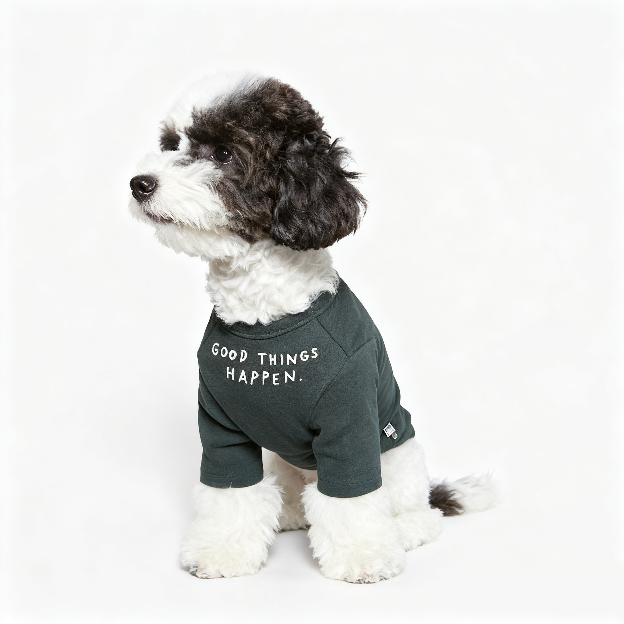 Soft Warm Pet Hoodie Dog Clothes
