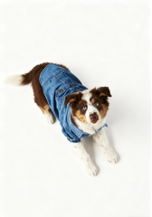 Classic Blue Denim Dog Jacket