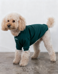 Spring Summer POLO Shirt  Dog Clothes