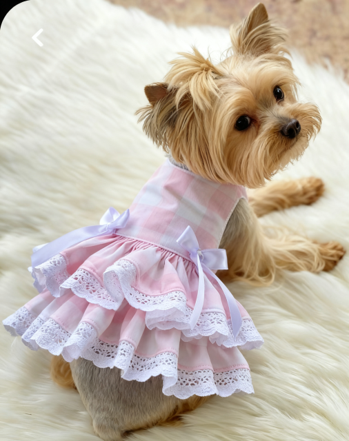 Breathable Double Layer summer Dog Dress Pet Clothes