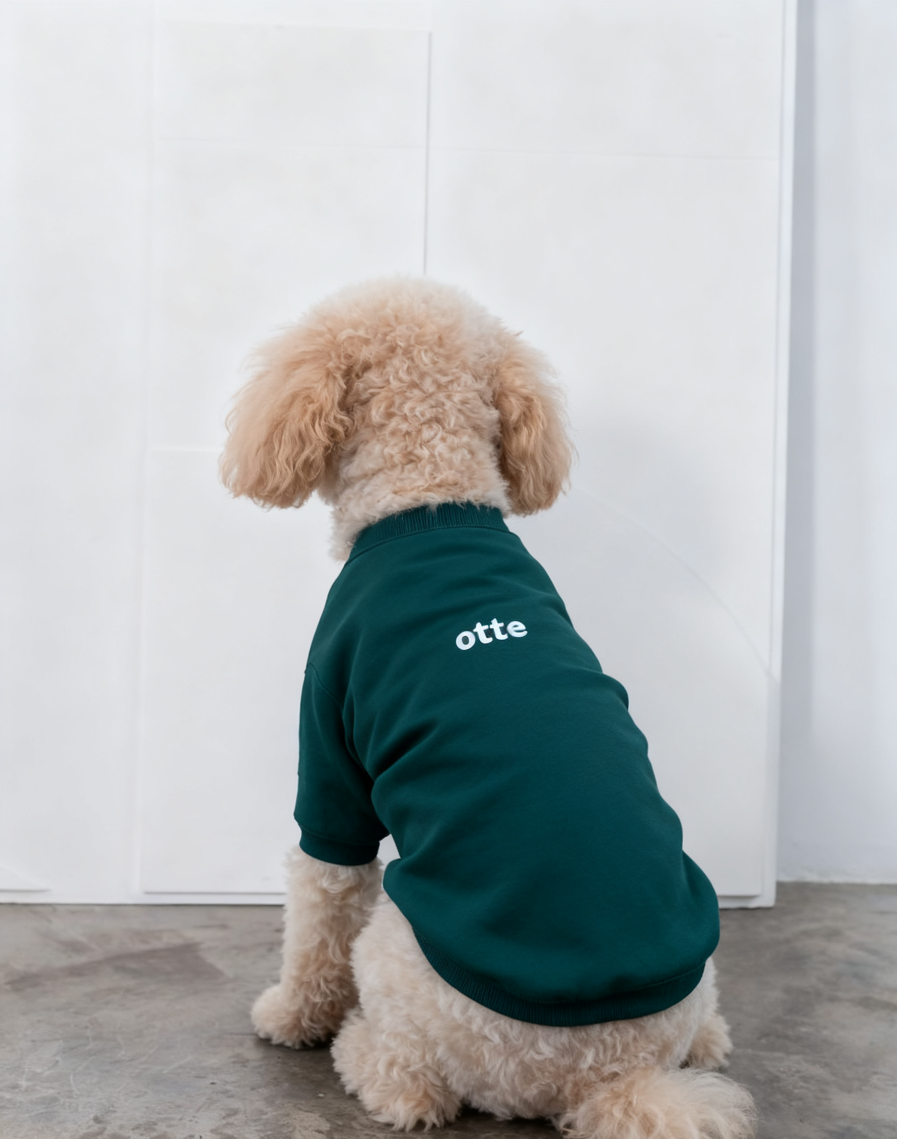 Spring Summer POLO Shirt  Dog Clothes