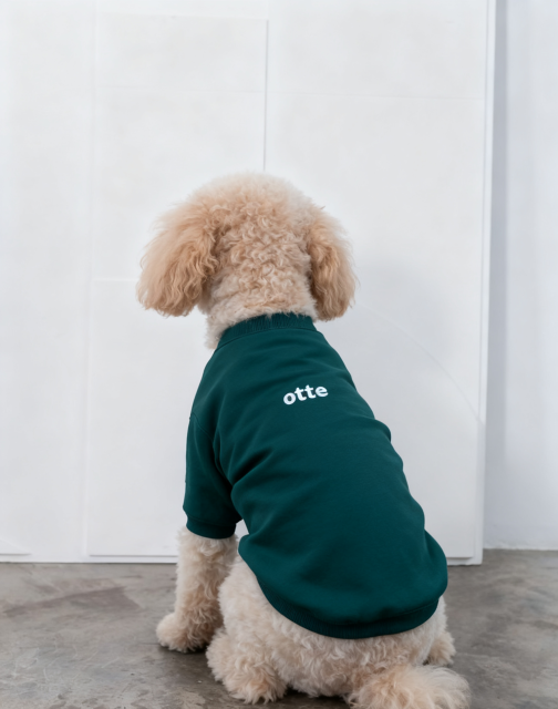 Spring Summer POLO Shirt  Dog Clothes