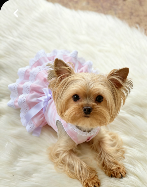 Breathable Double Layer summer Dog Dress Pet Clothes